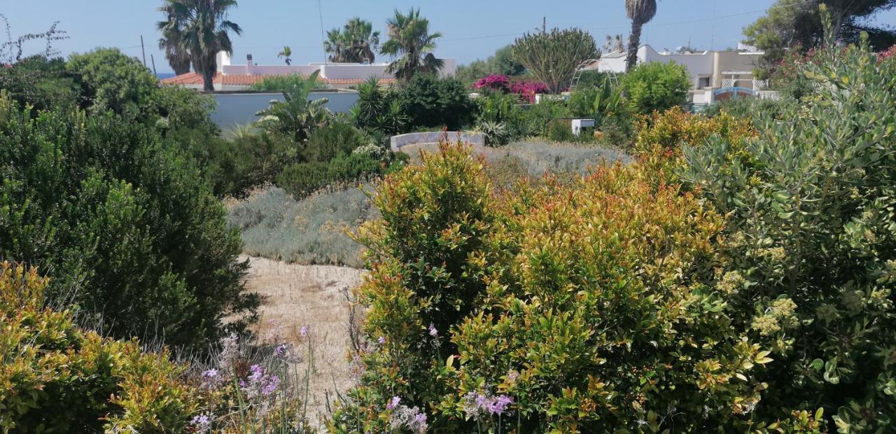 I Mirti - Home Holiday مارينا دي مانكافيسا المظهر الخارجي الصورة